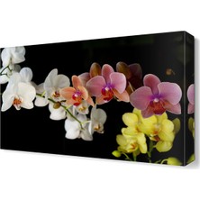 Dekor Sevgisi Renkli Çiçekler4 Tablosu 45x30 cm