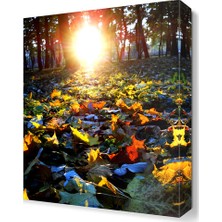 Dekor Sevgisi Renkli Yapraklar Canvas Tablo  45x30 cm