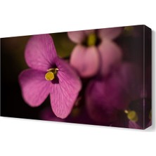 Dekor Sevgisi Pembe Çiçek2 Tablosu 45x30 cm
