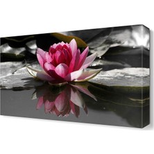 Dekor Sevgisi Sudaki Çiçek Tablosu 45x30 cm