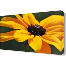 Dekor Sevgisi Sarı Papatya5 Tablosu 45x30 cm