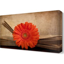 Dekor Sevgisi Dekoratif Kasımpatı Tablosu 45x30 cm