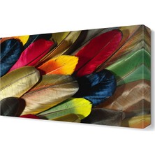Dekor Sevgisi Renkli Tüyler2 Tablosu 45x30 cm