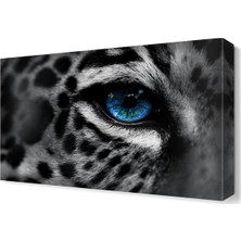 Dekor Sevgisi Mavi Gözlü Aslan Tablosu 60x40 cm