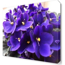 Dekor Sevgisi Afrika Menekşesi Tablosu 30x30 cm