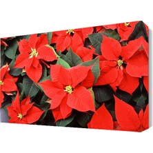 Dekor Sevgisi Atatürk Çiçeği Tablosu 45x30 cm