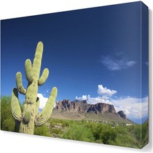 Dekor Sevgisi Kaktüs Çiçeği Tablosu 30x30 cm