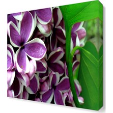 Dekor Sevgisi Mor Beyaz Leylak Tablosu 30x30 cm