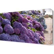 Dekor Sevgisi Ortaca Tablosu 45x30 cm