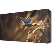 Dekor Sevgisi Mavi Kelebek Canvas Tablo  45x30 cm