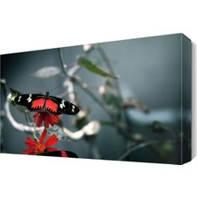 Dekor Sevgisi Kırmızılı Kelebek Canvas Tablo  45x30 cm