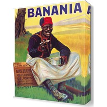 Dekor Sevgisi Banania2 Tablosu 45x30 cm