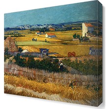 Dekor Sevgisi Tarla Ova  Tablosu 30x30 cm