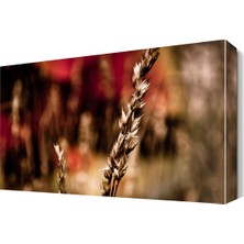 Dekor Sevgisi Başak Canvas Tablo  45x30 cm