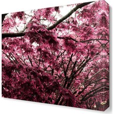 Dekor Sevgisi Pembe Ağaç Yaprakları Tablosu 30x30 cm