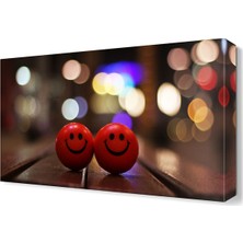 Dekor Sevgisi Gülen Toplar Canvas Tablo  45x30 cm