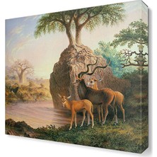 Dekor Sevgisi Thomas Baines Tablosu 60x60 cm