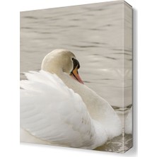 Dekor Sevgisi Kaz Tablosu  45x30 cm