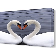 Dekor Sevgisi Kuğuların Aşkları Tablosu 45x30 cm