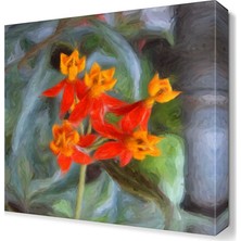 Dekor Sevgisi Kırmızı ve Sarı Çiçek Tablosu 30x30 cm