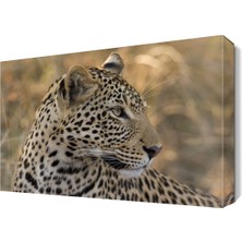 Dekor Sevgisi Benekli Aslan Tablosu 45x30 cm