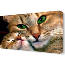 Dekor Sevgisi Anne Kedi ve Yavrusu Canvas Tablo  45x30 cm