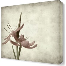 Dekor Sevgisi Güzel Pembe Çiçek Tablosu 30x30 cm