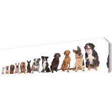 Dekor Sevgisi Küçükten Büyüğe Köpek Tablosu 45x30 cm