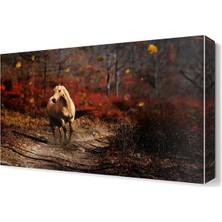 Dekor Sevgisi Ormanda Gezen At Canvas Tablo  45x30 cm