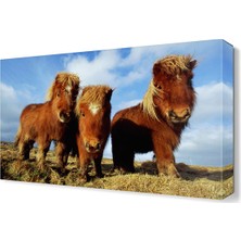 Dekor Sevgisi Sevimli Hayvan3 Canvas Tablo  45x30 cm