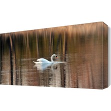 Dekor Sevgisi Göldeki Yanlız Kuğu Tablosu 45x30 cm