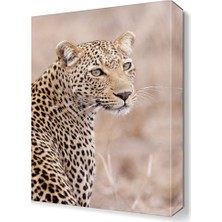 Dekor Sevgisi Leopar 2 Tablo 45x30 cm