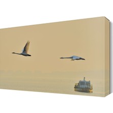 Dekor Sevgisi Ördekler Tablosu 45x30 cm