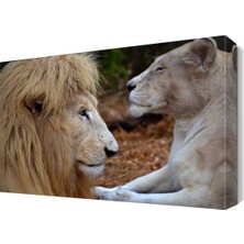 Dekor Sevgisi Yeleli 2 Aslan Tablosu 45x30 cm