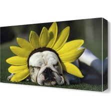 Dekor Sevgisi Sevimli Köpek Canvas Tablo  45x30 cm