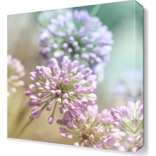 Dekor Sevgisi Pembe Anason Tablo 45x30 cm