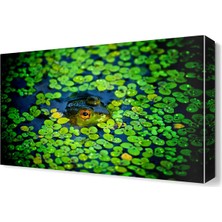 Dekor Sevgisi Kurbağa Canvas Tablo  45x30 cm