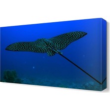 Dekor Sevgisi Deniz Hayvanı Canvas Tablo  45x30 cm