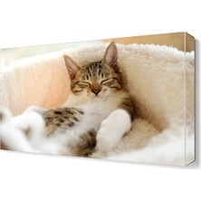 Dekor Sevgisi Uyuyan Kedi Canvas Tablo  45x30 cm