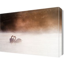 Dekor Sevgisi Sisli Hava Kuğuların Aşkı Tablo 45x30 cm