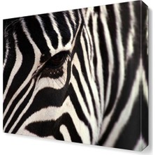 Dekor Sevgisi Zebra Çizgileri Canvas Tablo  30x30 cm