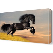 Dekor Sevgisi Siyah At Canvas Tablo  45x30 cm