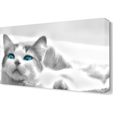 Dekor Sevgisi Beyaz Kedi Canvas Tablo  45x30 cm