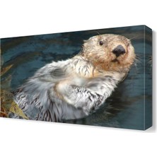 Dekor Sevgisi Islak Fok Canvas Tablo  45x30 cm