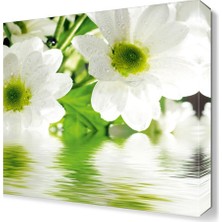 Dekor Sevgisi Amazon Çiçekleri Tablosu 30x30 cm