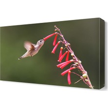 Dekor Sevgisi Serçe2 Canvas Tablo  45x30 cm