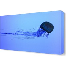 Dekor Sevgisi Deniz Anası Canvas Tablo  45x30 cm