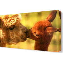 Dekor Sevgisi Lama Canvas Tablo  45x30 cm