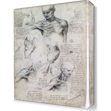 Dekor Sevgisi Anatomi Canvas Tablo  45x30 cm