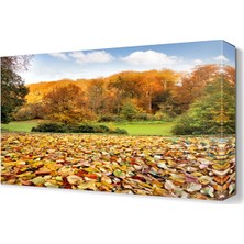 Dekor Sevgisi Dökülmüş Yapraklar Canvas Tablo  45x30 cm